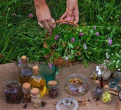 Natural soap ingredients - plant oils and butters